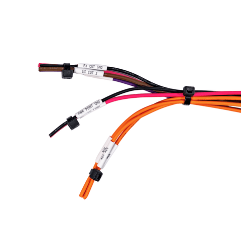 FFG 1967-1972 Ford Wire Harness