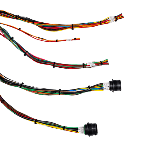 FFG 1967-1972 Ford Wire Harness colorful automotive wiring harnesses with professional-grade connectors displayed on white background, showcasing the precision-engineered electrical components designed for classic vehicle restoration and modern powertrain integration.