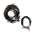 FFG 1961-1966 Ford Wire Harness – view 3